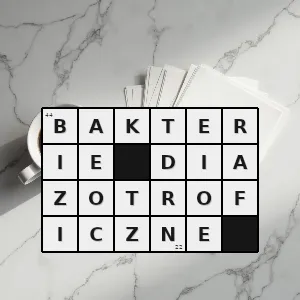 Rozwiązanie krzyżówki: bakterie i archeany zdolne do diazotrofii czyli przyswajania przy użyciu enzymu nitrogenazy azotu cząsteczkowego występującego w atmosferze - bakterie diazotroficzne | hasła, synonimy i podpowiedzi Hasło krzyżówkowe bakterie i archeany zdolne do diazotrofii czyli przyswajania przy użyciu enzymu nitrogenazy azotu cząsteczkowego występującego w atmosferze - bakterie diazotroficzne – rozwiązanie, synonimy, podpowiedzi i definicje krzyżówkowe